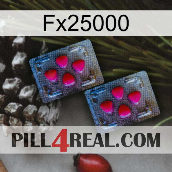 Fx25000 14.jpg